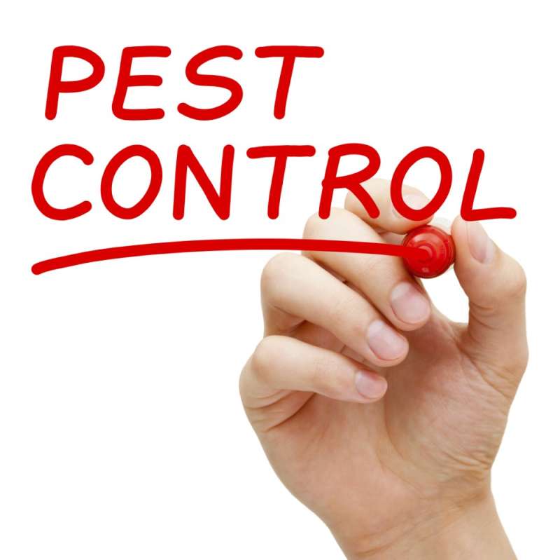 24 Hour Pest Control 24 Hour Pest Control